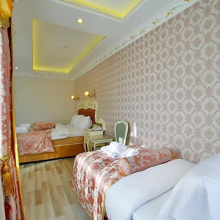 Hotel Nayla Palace Hotel-special Category