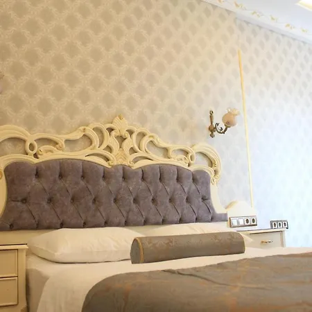 Nayla Palace Hotel-special Category