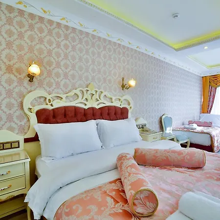 Hotel Nayla Palace Hotel-special Category