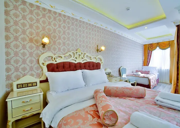 Hotel Nayla Palace Hotel-special Category