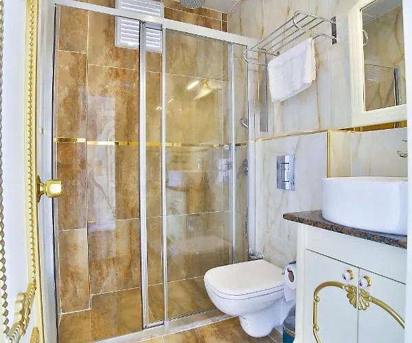 Hotel Nayla Palace Hotel-special Category *